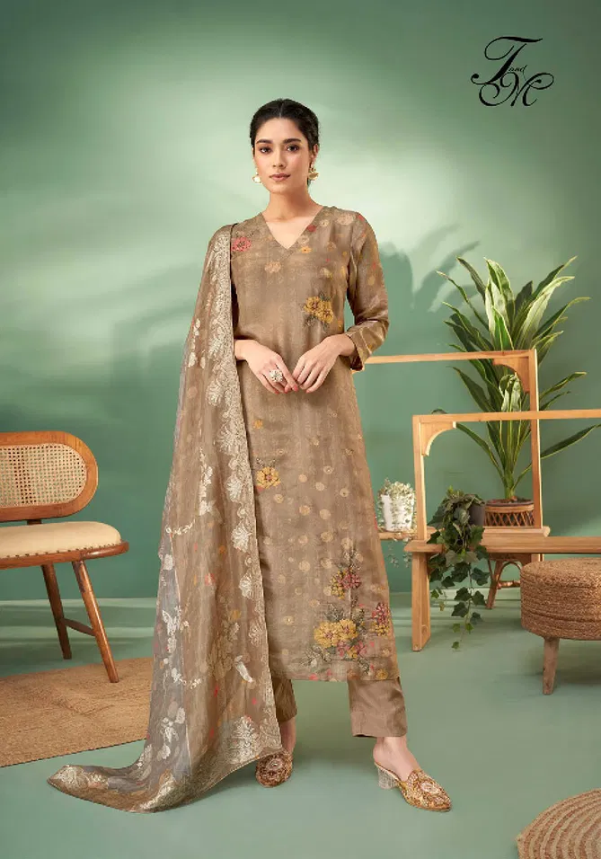 Kaseesh By Sahiba Simmer Tissue Printed Dress Material Wholesale Market In SUrat